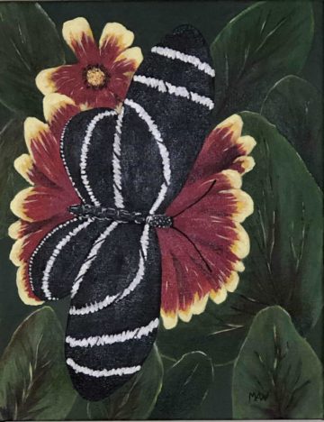 Black and white butterfly