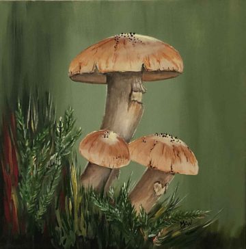 Mushrooms