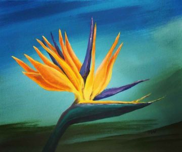 Bird of paradise
