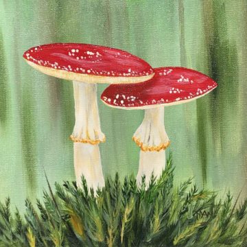 Mushrooms