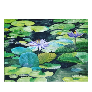 Lily Pond