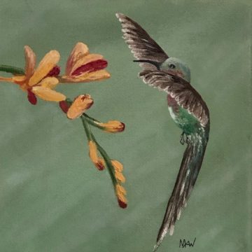 Humming bird