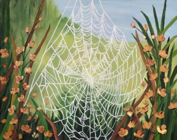 Spider Web