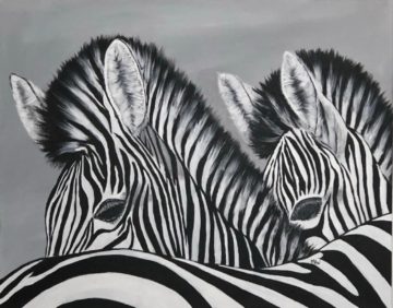 Zebras