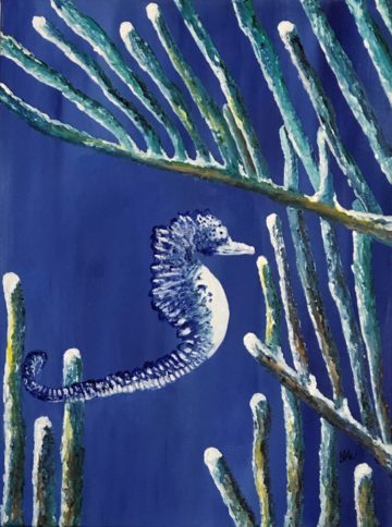 Seahorse