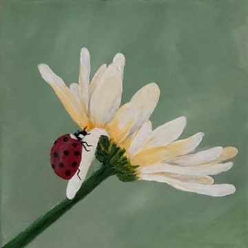 Ladybug and flower